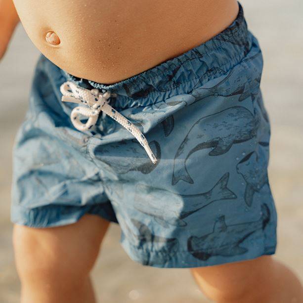 Little Dutch swimshort Sea Life Blue peldšorti 98/104 izm.