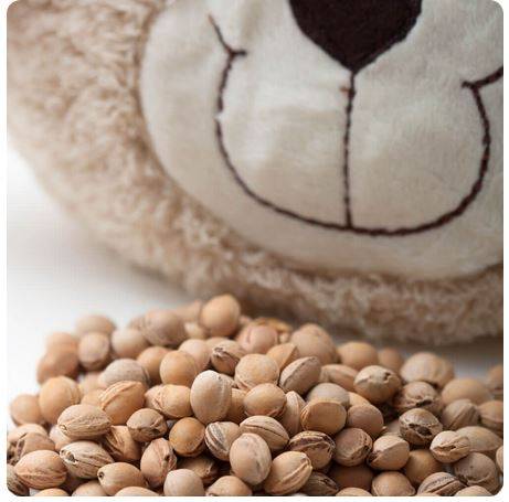 Mans mazais sildošais draugs - lācītis Mans mazais sildošais draugs - lācītis