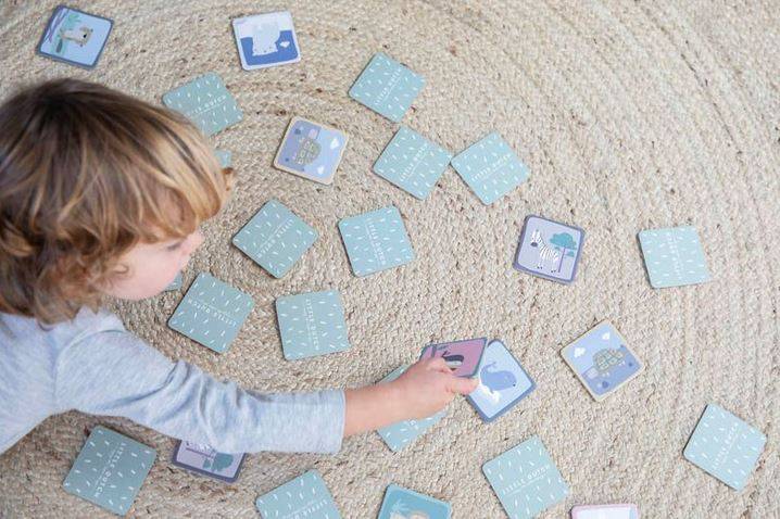 Atmiņu spēle Memo Zoo Atmiņu spēle Memo Zoo