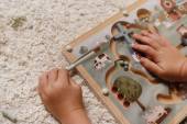 Little Dutch Magnetic Maze Little Farm magnētiskais labirints