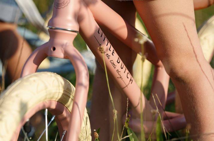 Little Dutch Balance bike līdzsvara ritenis Matt Pink