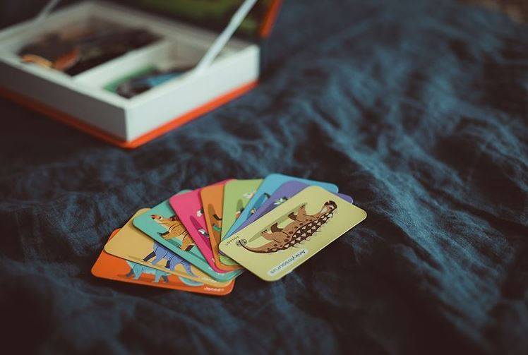 Janod Magnetic Book Dinosaurs magnētiskā grāmata - dinozauri Janod Magnetic Book Dinosaurs magnētiskā grāmata - dinozauri