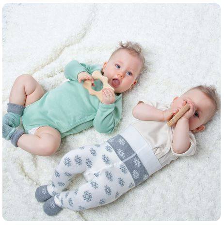 Koka graužamais ezītis