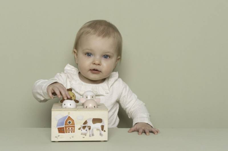 Little Dutch Pop-up toy Little Farm FSC interaktīvā rotaļlieta Little Dutch Pop-up toy Little Farm FSC interaktīvā rotaļlieta