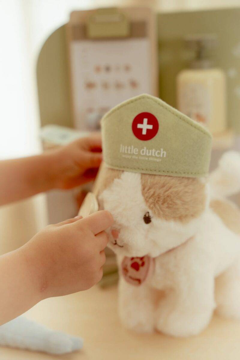 Little Dutch Veterinary Practice FSC wood koka veterinārā klīnika