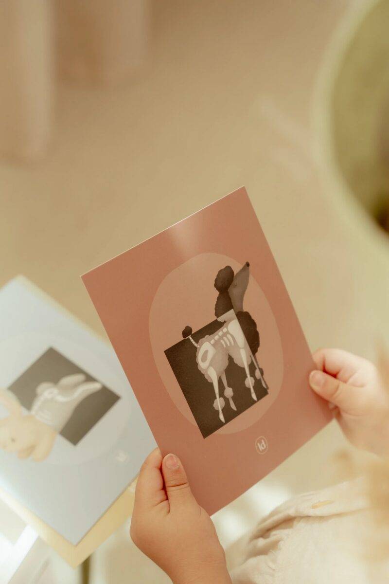 Little Dutch Veterinary Practice FSC wood koka veterinārā klīnika