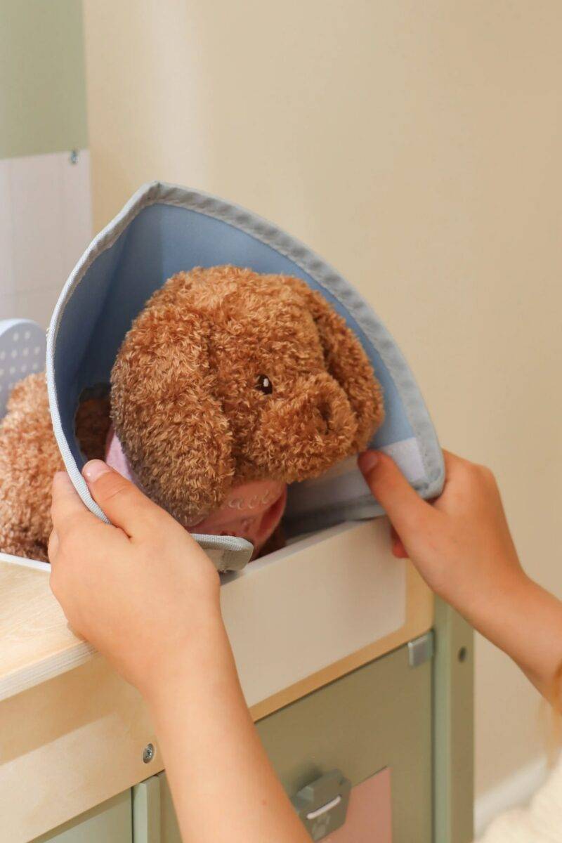 Little Dutch Veterinary Practice FSC wood koka veterinārā klīnika