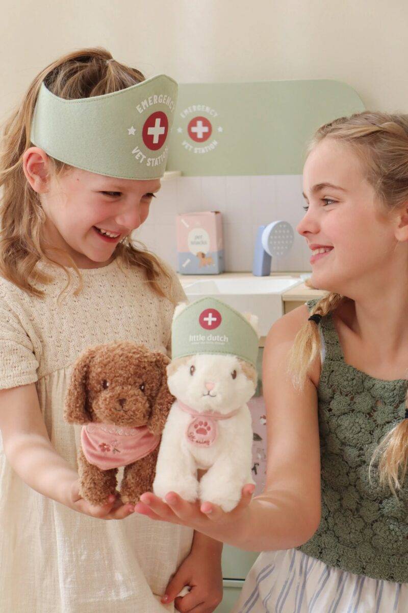 Little Dutch Veterinary Practice FSC wood koka veterinārā klīnika