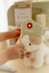 Little Dutch Veterinary Practice FSC wood koka veterinārā klīnika