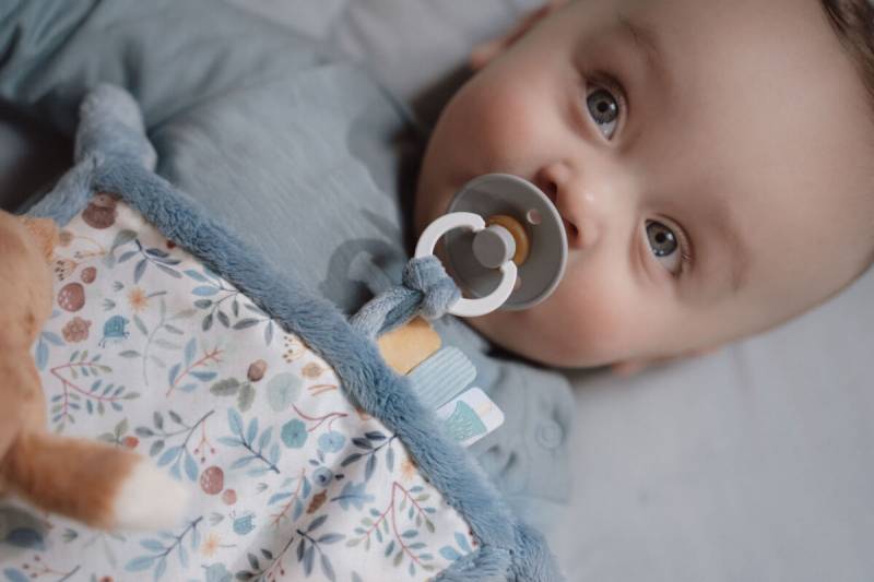 Little Dutch Cuddle cloth print Fox Forest Friends miega mīļlupatiņa Little Dutch Cuddle cloth print Fox Forest Friends miega mīļlupatiņa