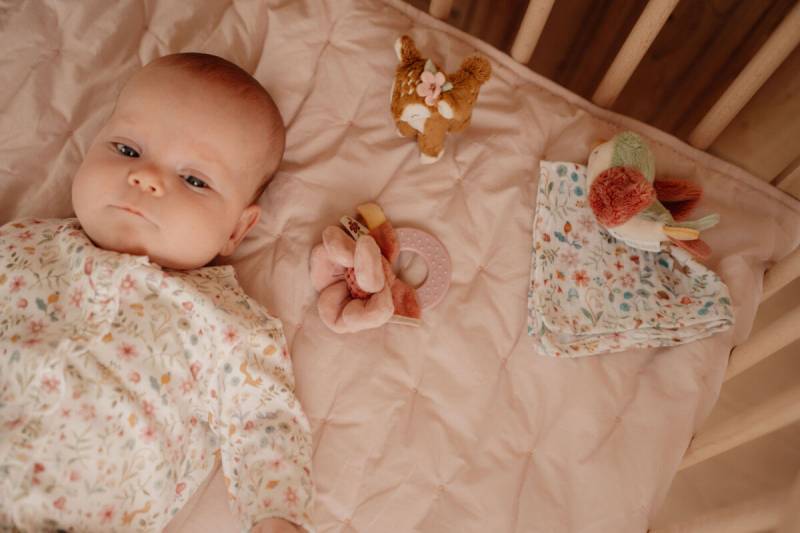 Little Dutch Gift box cuddles Fairy Garden dāvanu kastīte